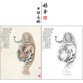 冯大中 老虎 工笔画白描底稿《君临山野》动物临摹勾线高清打印稿DZ07