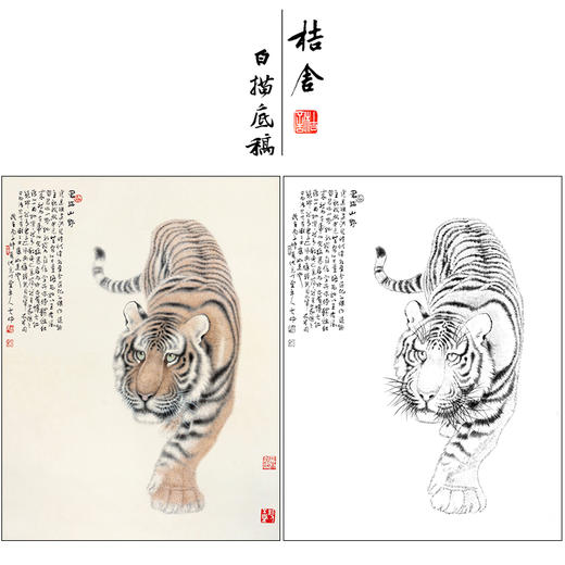 冯大中 老虎 工笔画白描底稿《君临山野》动物临摹勾线高清打印稿DZ07 商品图0