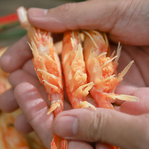北极甜虾 300g/包 商品图3