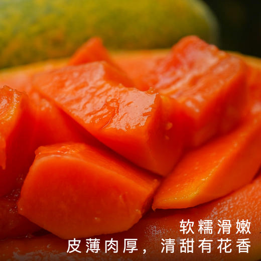 艾格吃饱了正宗湛江雷州冰糖木瓜当季新鲜水果 商品图1