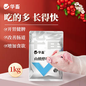 华畜山楂酵母粉1kg 开胃健脾改善肠道