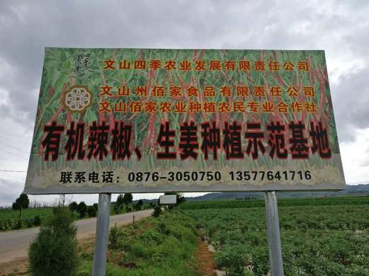 厂家直供有机云南丘北小辣椒干250克/袋 商品图2