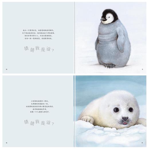 童书《你好！动物宝宝》（共6册）-分销 商品图3