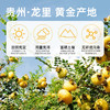 【真0添加】小刺头刺梨原汁30ml*7袋/盒VC爆棚鲜果纯榨取 商品缩略图2