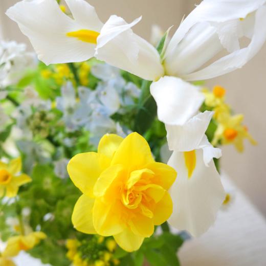 花涧汀响 Sound of the Spring 商品图1