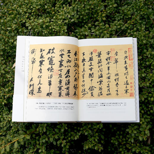 成为苏东坡 商品图7