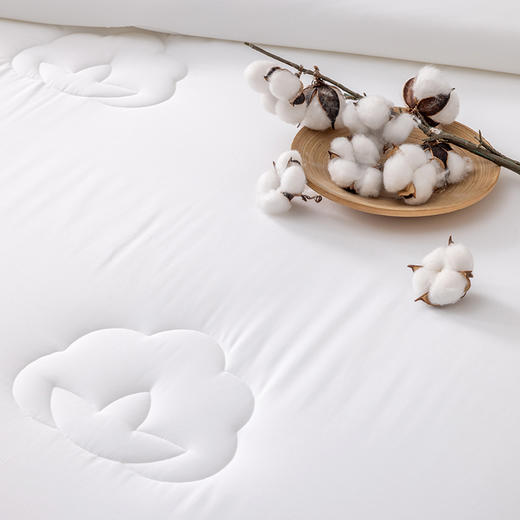 多喜爱 大美新疆系列 晴柔舒爽棉花被/春秋被 【里外皆棉】【脱脂新疆棉花】【60S缎纹工艺】【A类标准】【产地可溯源】多层铺棉 商品图1