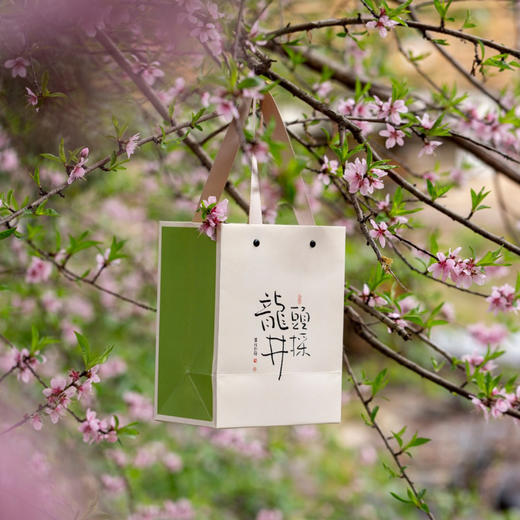 等你【龙井单罐＋杯】26元一套/一件24套 商品图8