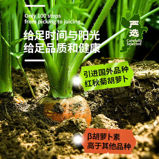 【分仓直发包邮】田野说100%原浆胡萝卜汁（迷你装）125ml*16盒/箱 商品图3