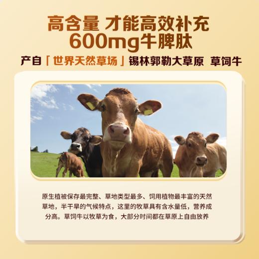 初元牛脾肽固体饮料（3g*20/盒） 商品图2