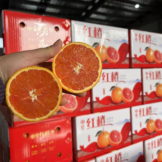新鲜水果 果肉红润 中华红血橙  3斤装/5斤装 【5斤十堰主城区包邮】 商品图6