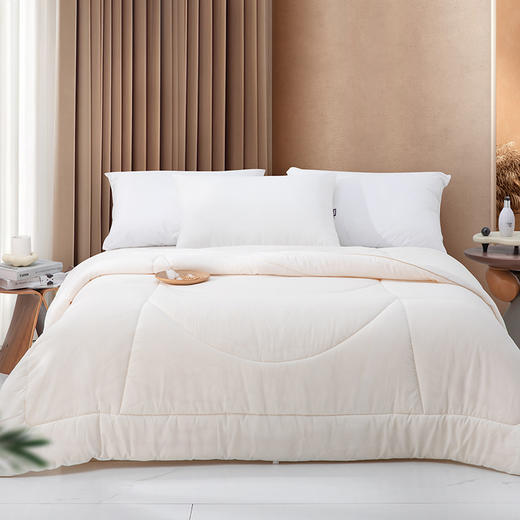 春秋被/冬被/子母被【会员专享】多喜爱 甄芯暖意大豆春秋被/冬被/子母被【大豆纤维】【蓬松饱满】【磨绒面料】【抑菌呵护】 商品图1