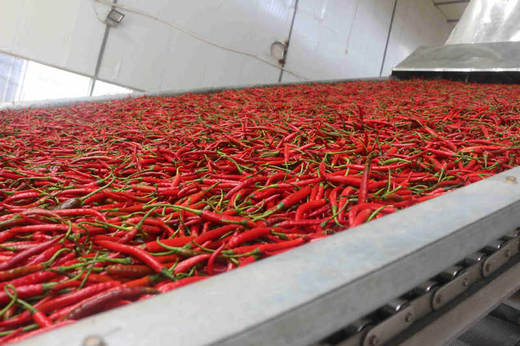 厂家直供有机云南丘北小辣椒干250克/袋 商品图1