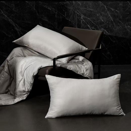 南方寝饰暖芯枕（一对） 商品图0