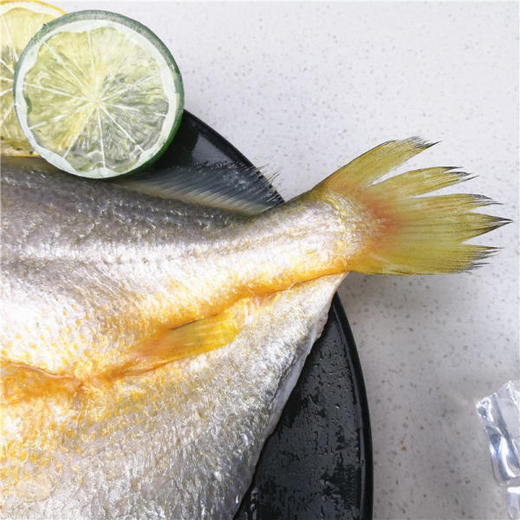 风味微咸黄鱼鲞 2条约375g/袋 商品图3