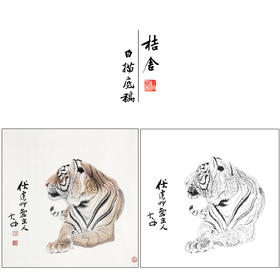 冯大中 老虎 工笔画白描底稿斗方《老虎》动物临摹勾线高清打印稿DZ03