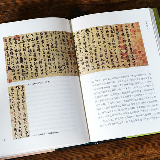 美是进化的奖励：从孔雀尾巴到蒙娜丽莎 陈水华 一部颠覆认知的“审美进化论” ，美不是偶然，是生命进化的选择 人文艺术 商品图6