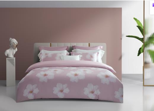 南方寝饰精品全棉四件套 商品图2