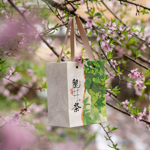 山里春天【龙井 双罐】21元一套/一件24套 商品图5