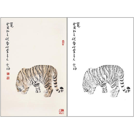 冯大中 老虎 工笔画白描底稿《觅》动物临摹勾线高清打印稿DZ09 商品图0