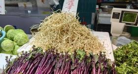 香椿火了以后，这些“野春菜”排着队来了，必须注意！