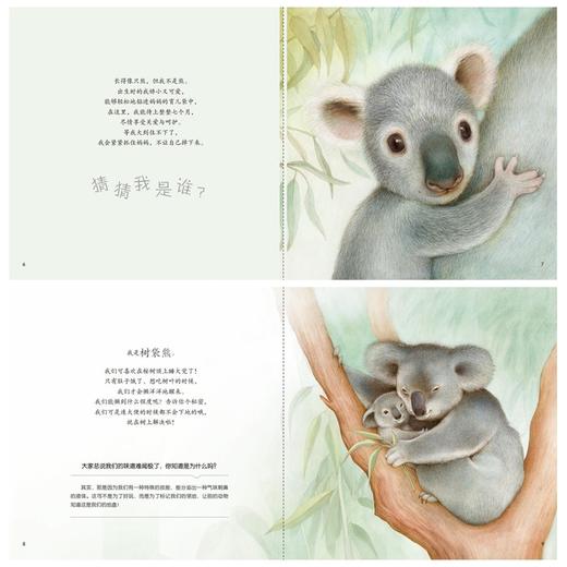 童书《你好！动物宝宝》（共6册）-分销 商品图7