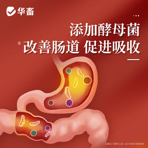 华畜山楂酵母粉1kg 开胃健脾改善肠道 商品图2