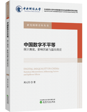 中国数字不平等:统计测度、影响因素与溢出效应