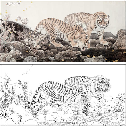 冯大中 老虎 工笔画白描底稿《秋水长天》动物临摹勾线高清打印稿DZ10 商品图0