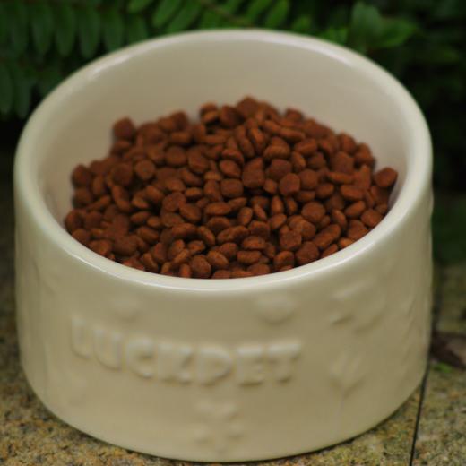 昆虫计划宠物粮·犬粮 商品图2