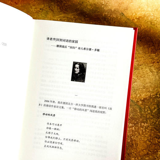 只有一朵玫瑰支撑 希尔德 多敏诗选 20世纪影响深远的德语女诗人 国内首次译介 商品图8