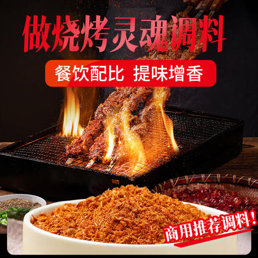 【库存品】香辣烧烤撒料1kg 商品图3
