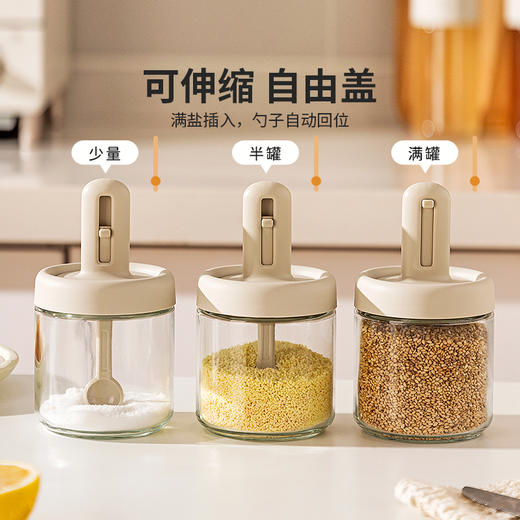 摩登主妇勺盖一体调料罐厨房调料收纳盒家用盐分装瓶伸缩调味瓶罐 商品图2