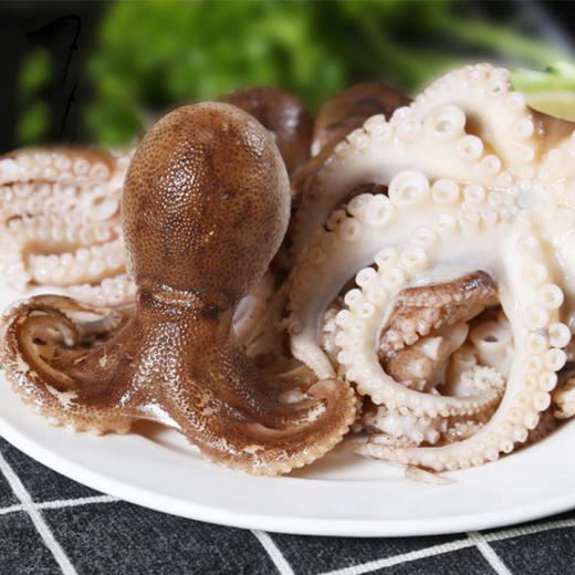 活冻八爪鱼 350g/包 商品图3