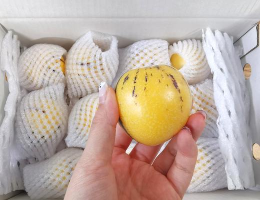 京东发货【云南火山岩树上熟-核心产区路花村人参果】水果界的“灌汤包” ，云南地标农产品,约95%的可食率 商品图7