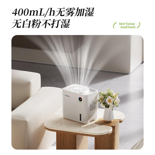 【德国无雾加湿器】德国蓝宝家用孕妇婴儿卧室空调房室内空气加湿2025新款 商品图0