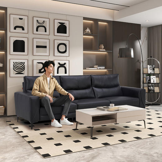 顾家家居整装 现代简约 皮/布固定沙发 KZ.1070(B)玄音 商品图4