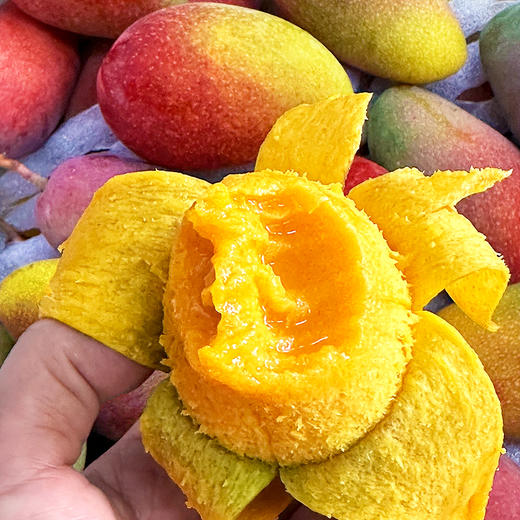 『海南树上熟贵妃芒』香浓奶味，皮薄多汁，柔糯爽口 商品图3