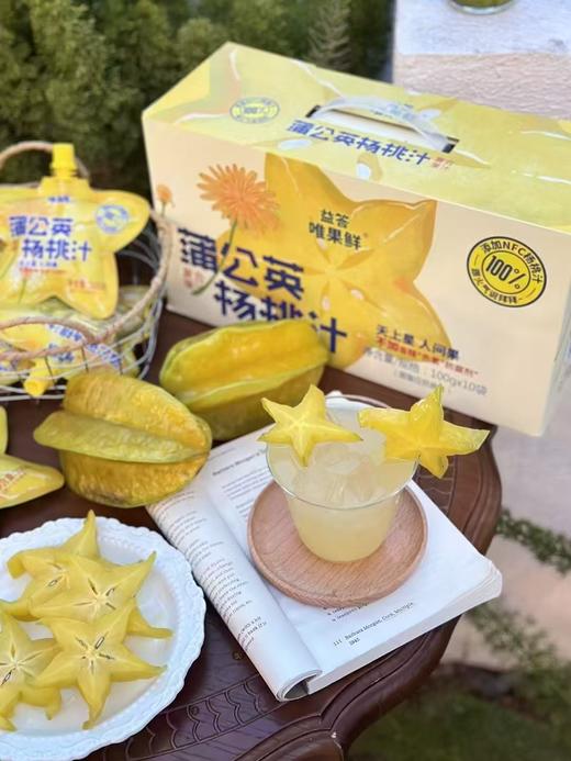 蒲公英杨桃汁一箱 商品图1