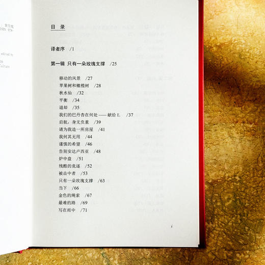 只有一朵玫瑰支撑 希尔德 多敏诗选 20世纪影响深远的德语女诗人 国内首次译介 商品图7