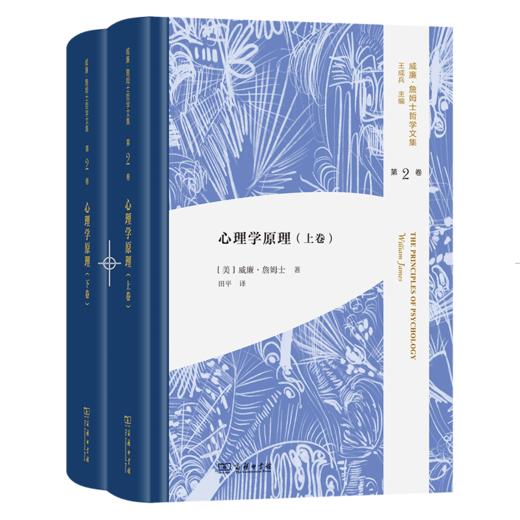 心理学原理(全两卷) 威廉·詹姆士哲学文集 第2卷 商品图0
