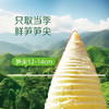 【分仓直发包邮】极野有机糯米笋尖（麻笋）250g*5袋 商品缩略图5