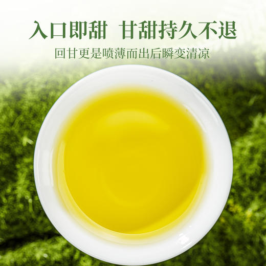 澜沧古茶2024年景迈大平掌明前古树纯料头春散茶50g 商品图5