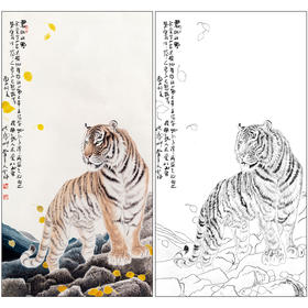 冯大中 老虎 工笔画白描底稿《老虎》动物临摹勾线高清打印稿DZ02