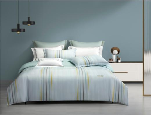 南方寝饰精品全棉四件套 商品图1