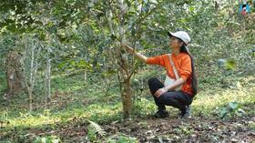 听，是远山在呼唤 