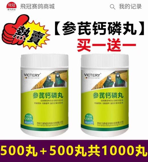 【参芪钙磷丸买一送一】500丸➕500丸，，钙磷同补均衡营养强肌壮骨丰羽（汉诺威） 商品图0
