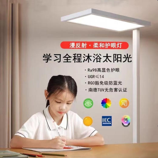 【落地学习灯，眼睛0负担！】全光谱落地台灯，护眼学习专用；儿童书桌阅读防近视教室灯，开、关、调节亮度一目了然，小孩自己也能快速学会上手操作！ 商品图1