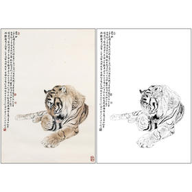 冯大中 老虎 工笔画白描底稿《晨妆》动物临摹勾线高清打印稿DZ08