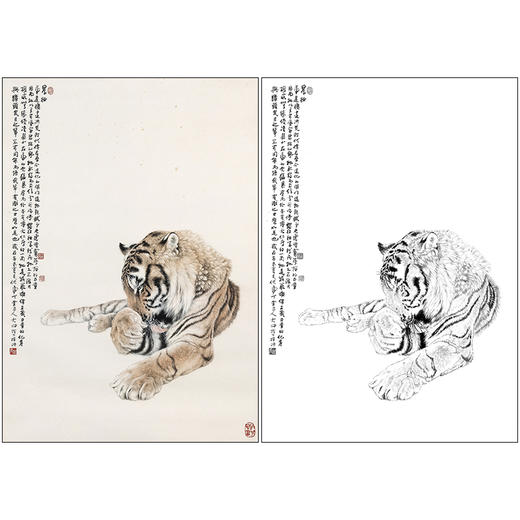 冯大中 老虎 工笔画白描底稿《晨妆》动物临摹勾线高清打印稿DZ08 商品图0